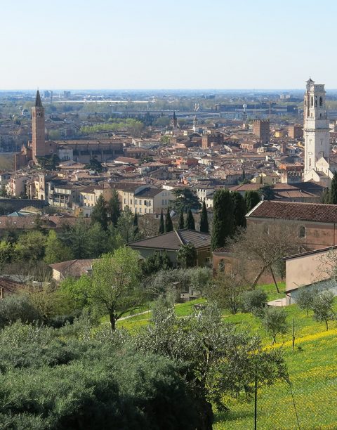 Verona panorama