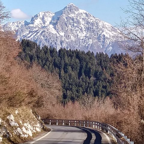View over the Alps