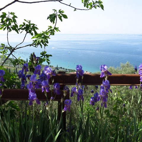 Lake Garda panorama