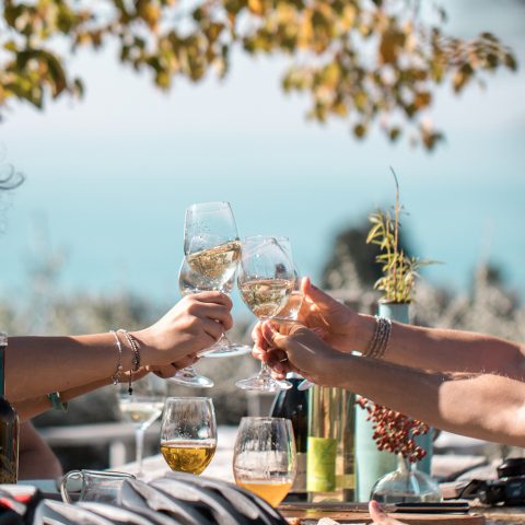 Wine tasting