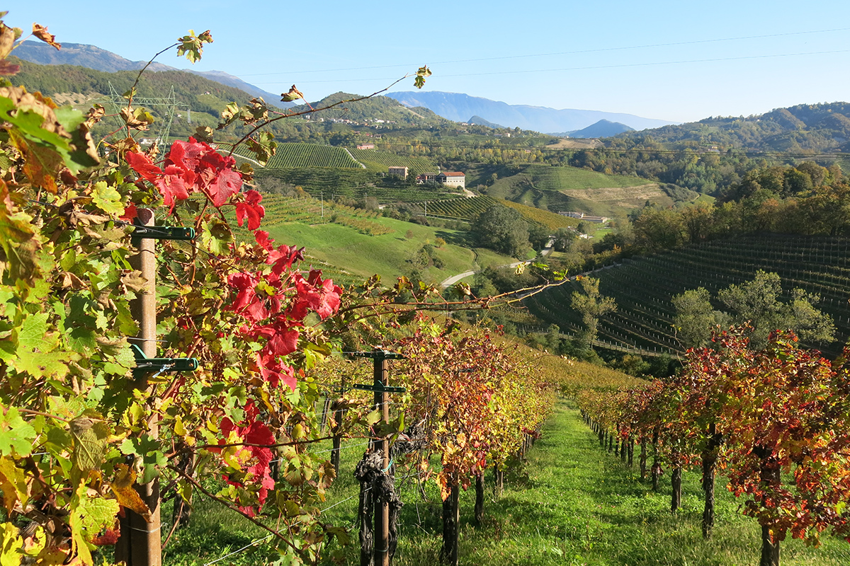 Prosecco hills